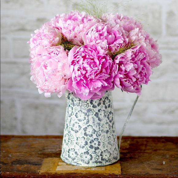 TREAT yourself with FLOWERS while you are alive. - Picture 1 of 1